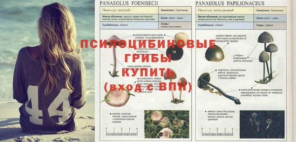 соль курить ск Баксан